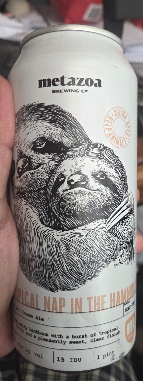 tropical nap in the hammock, Metazoa Brewing Co.