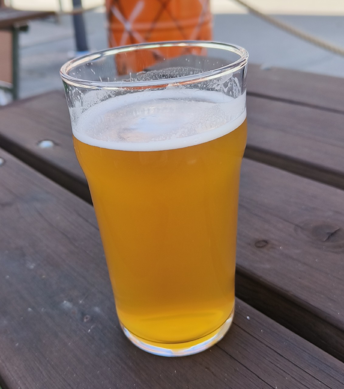 Grapefruit Bomber, Hoppy Traveler