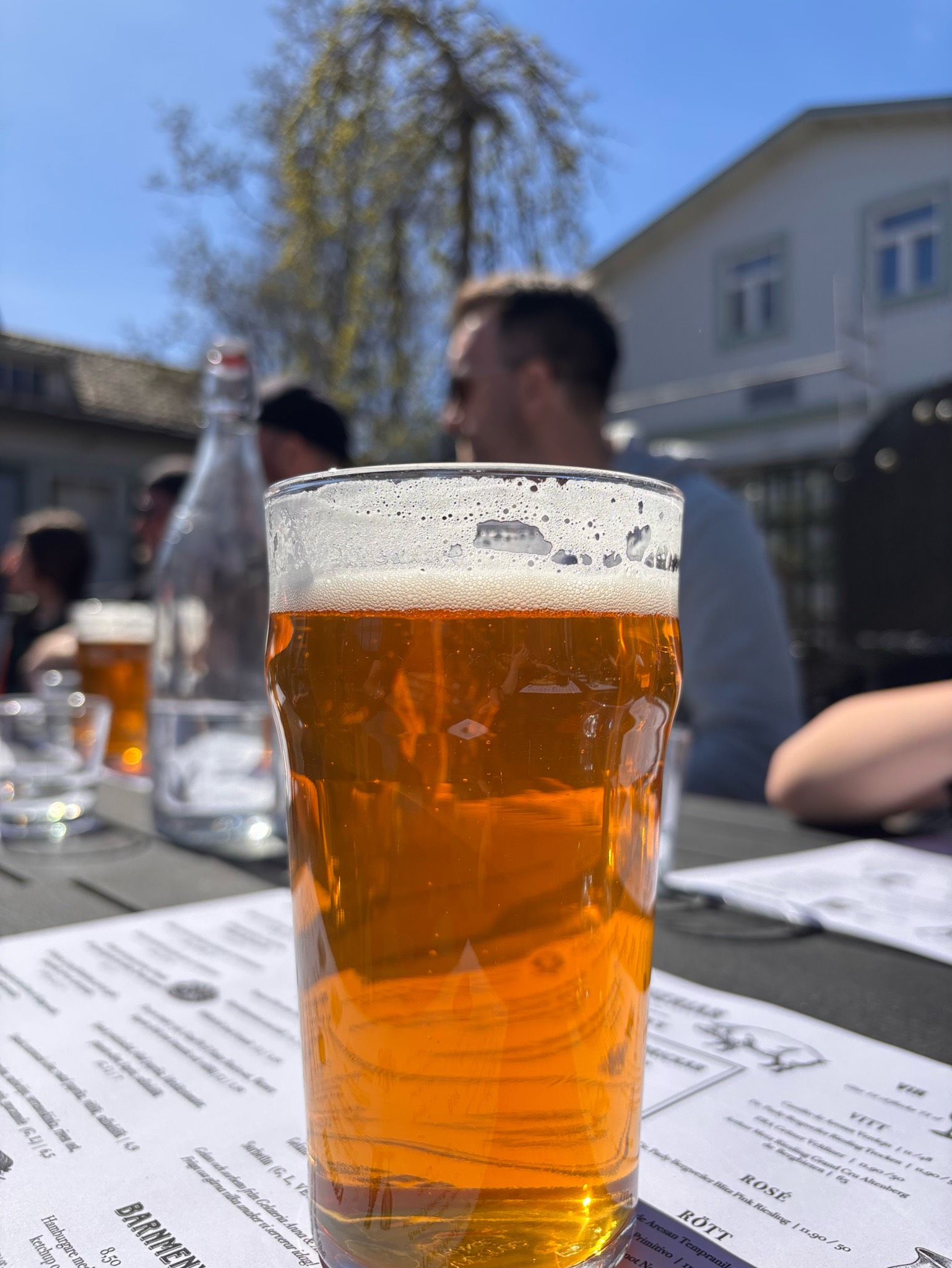 Lagunitas IPA, United States