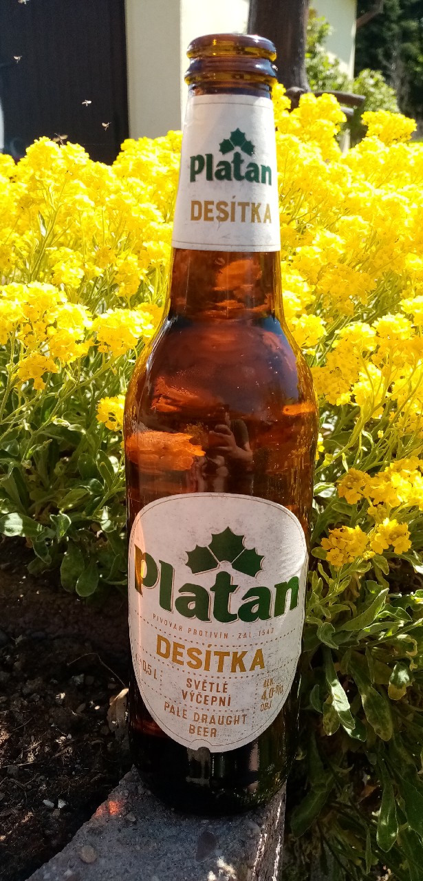 Platan Desítka 10°, Pivovar Protivín