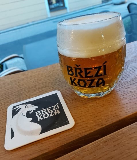 Brezi Koza, Brezi Koza
