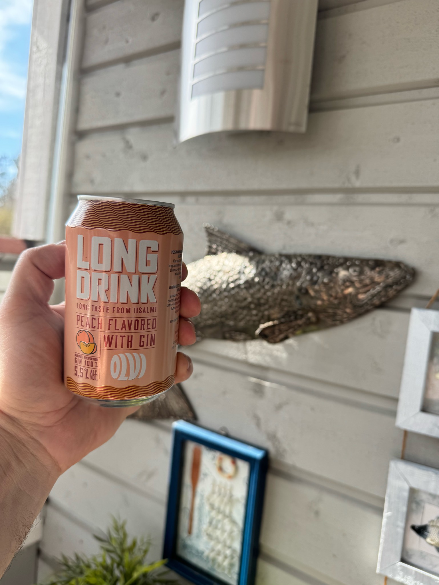 OLVI Long Drink Peach, Finland