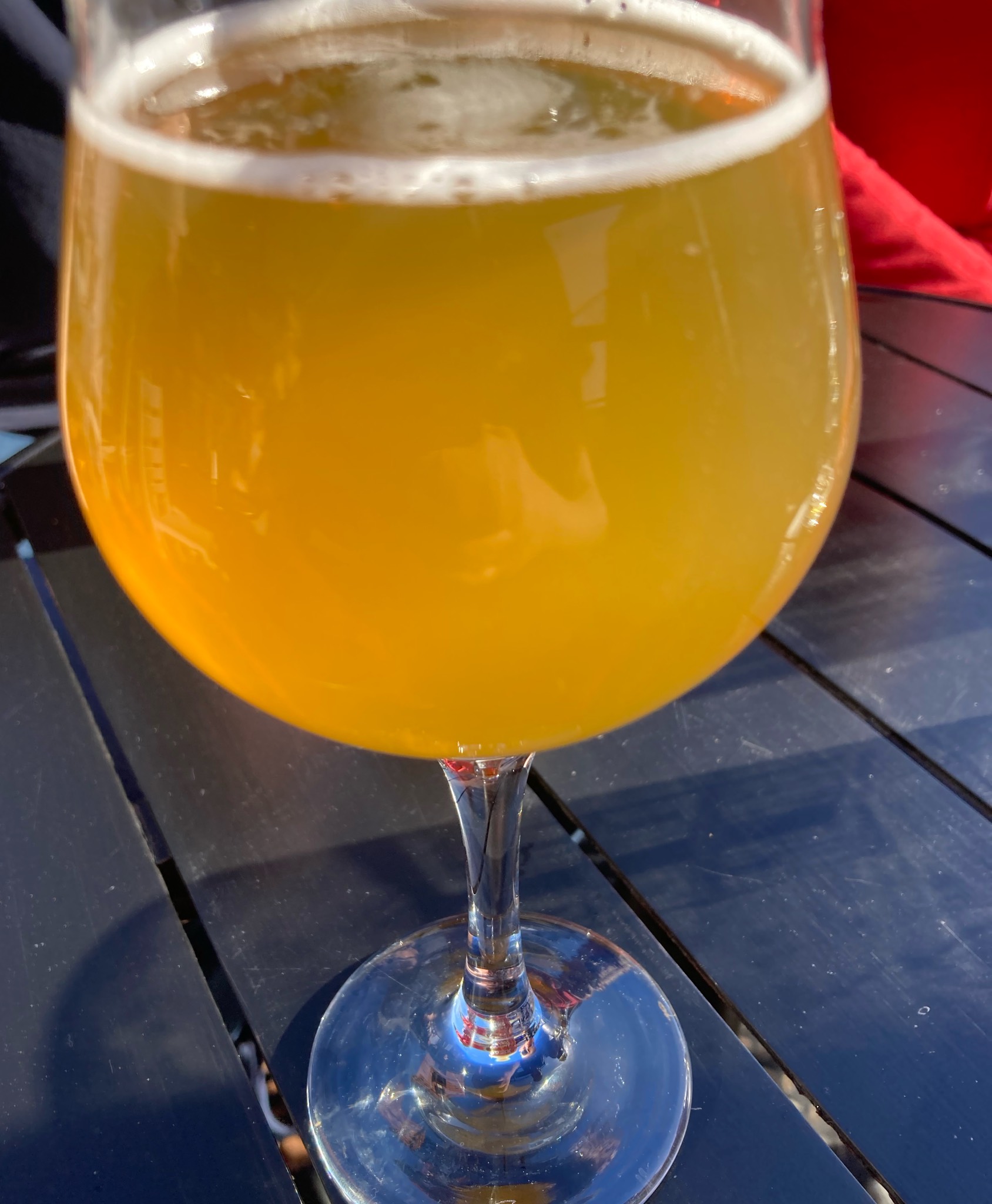 Proto #43 Margarita Pale Ale, Finland