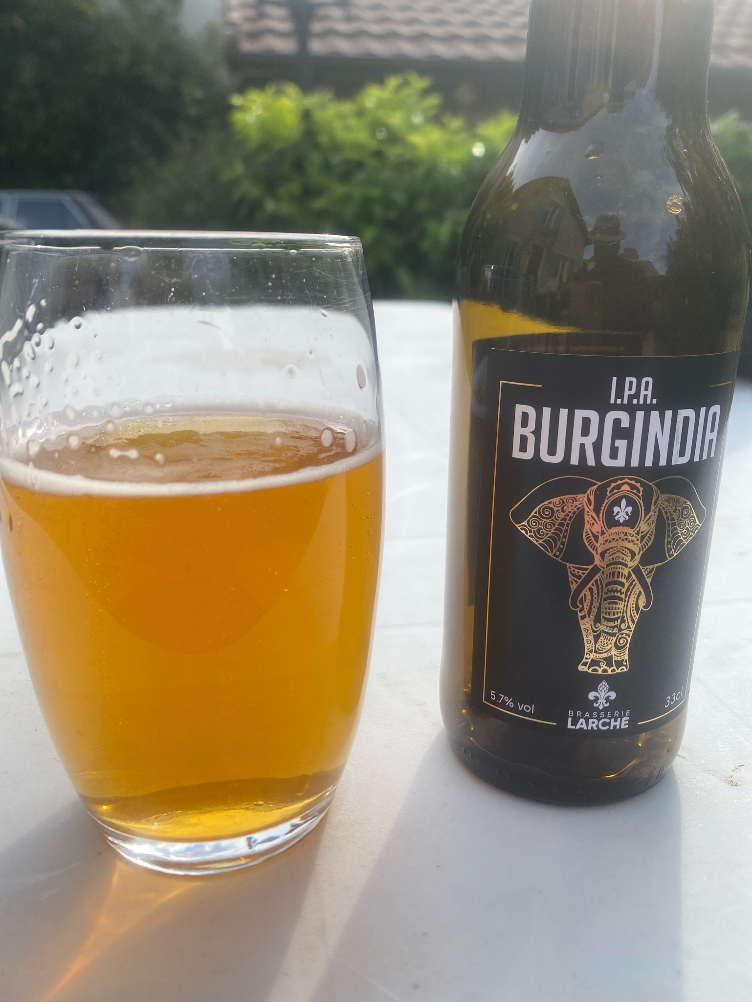 Burgindia IPA, France