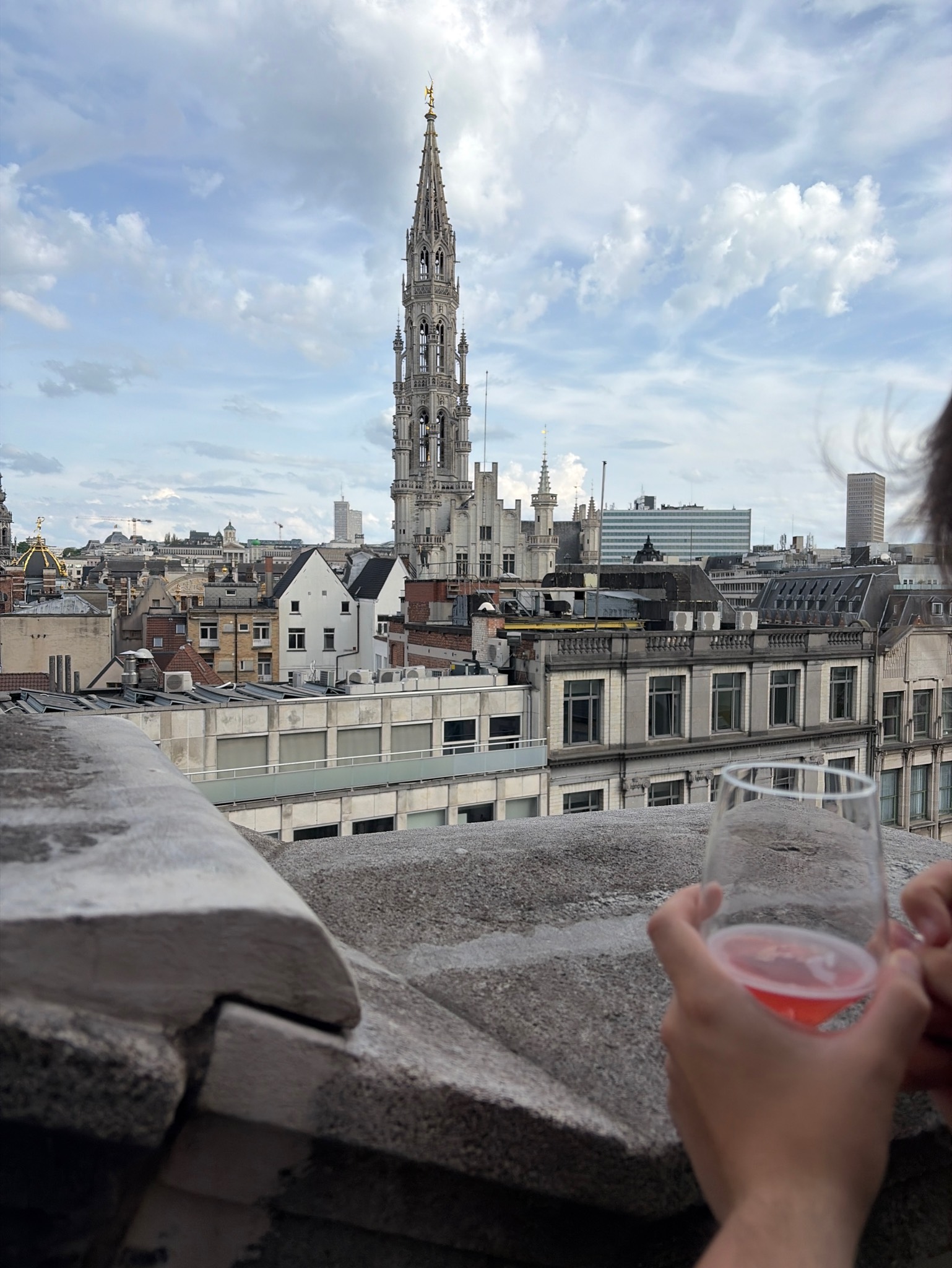 Blanche De Bruxelles Rosée, Brasserie Lefebvre