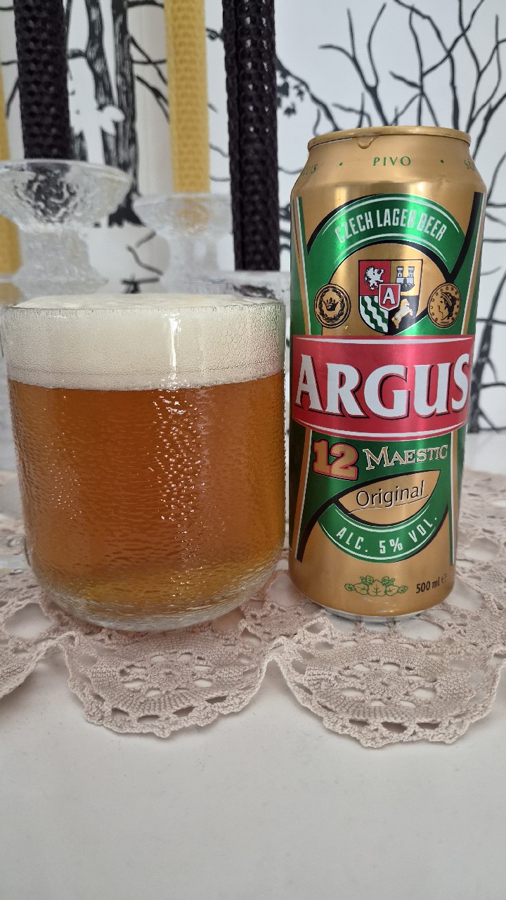 Argus Maestic, Pivovar Protivín