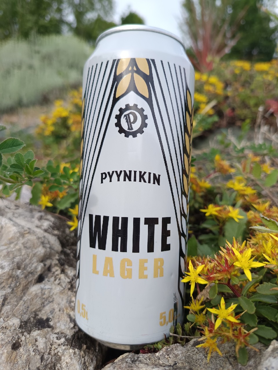 White Lager, Pyynikin Brewing Company