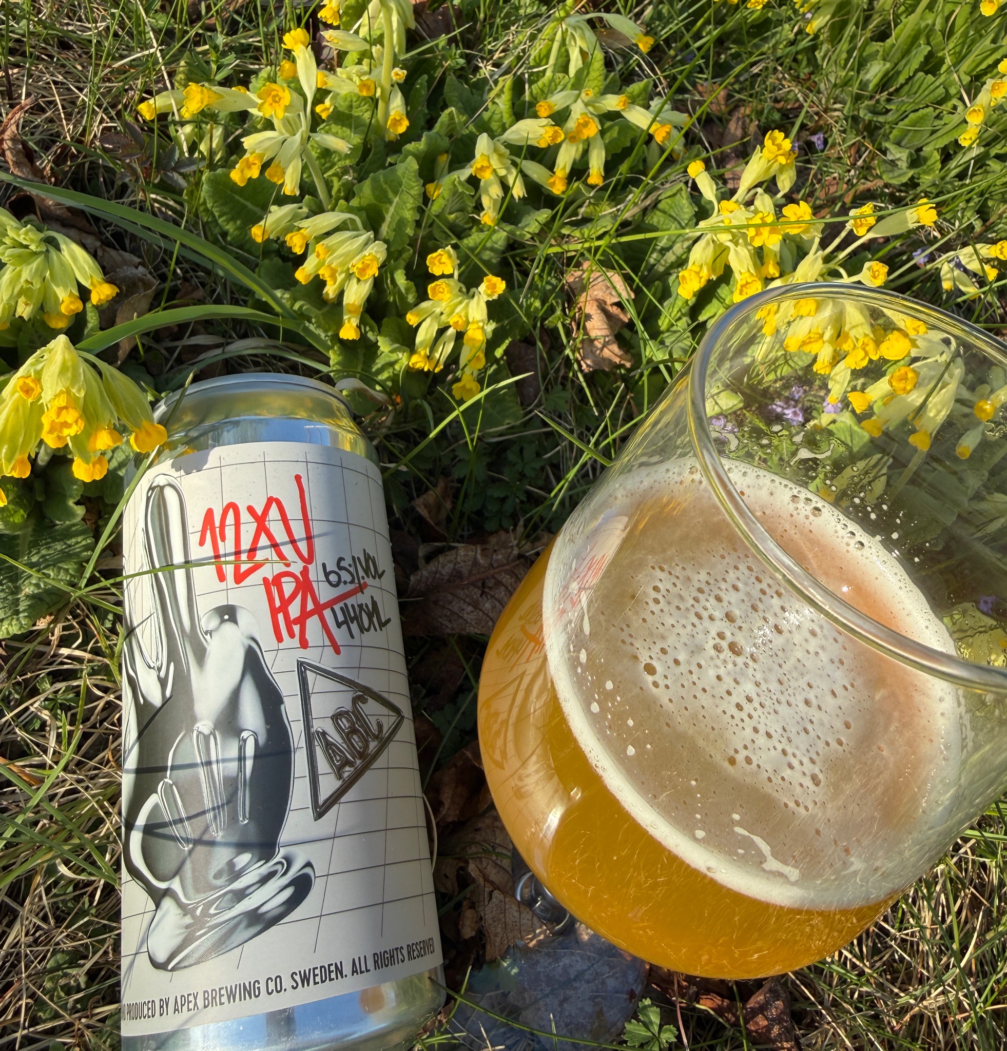 12XU IPA, Sweden