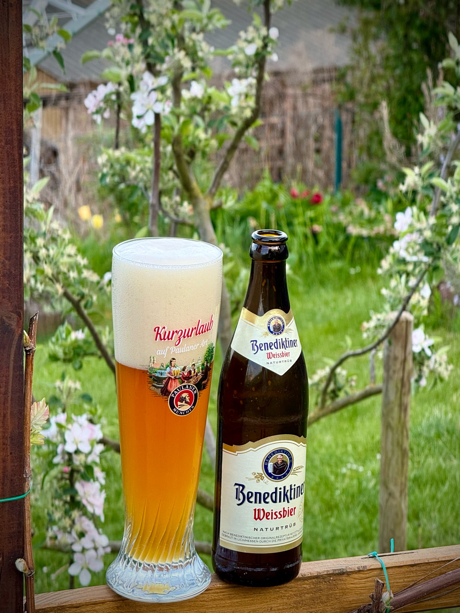 Benediktiner Weißbier Naturtrüb, Germany
