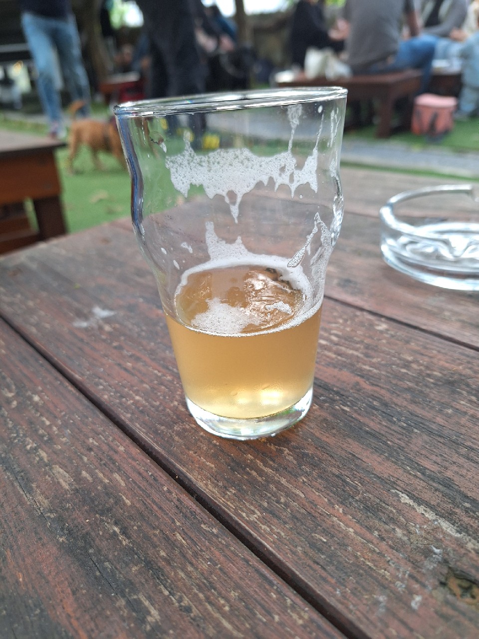 Aquela Kombucha, Catraio - Craft Beer Shop & Bar
