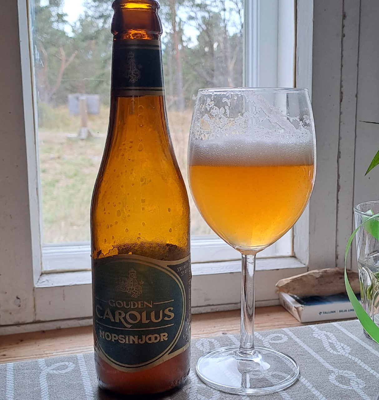 Gouden Carolus Hopsinjoor, Belgium