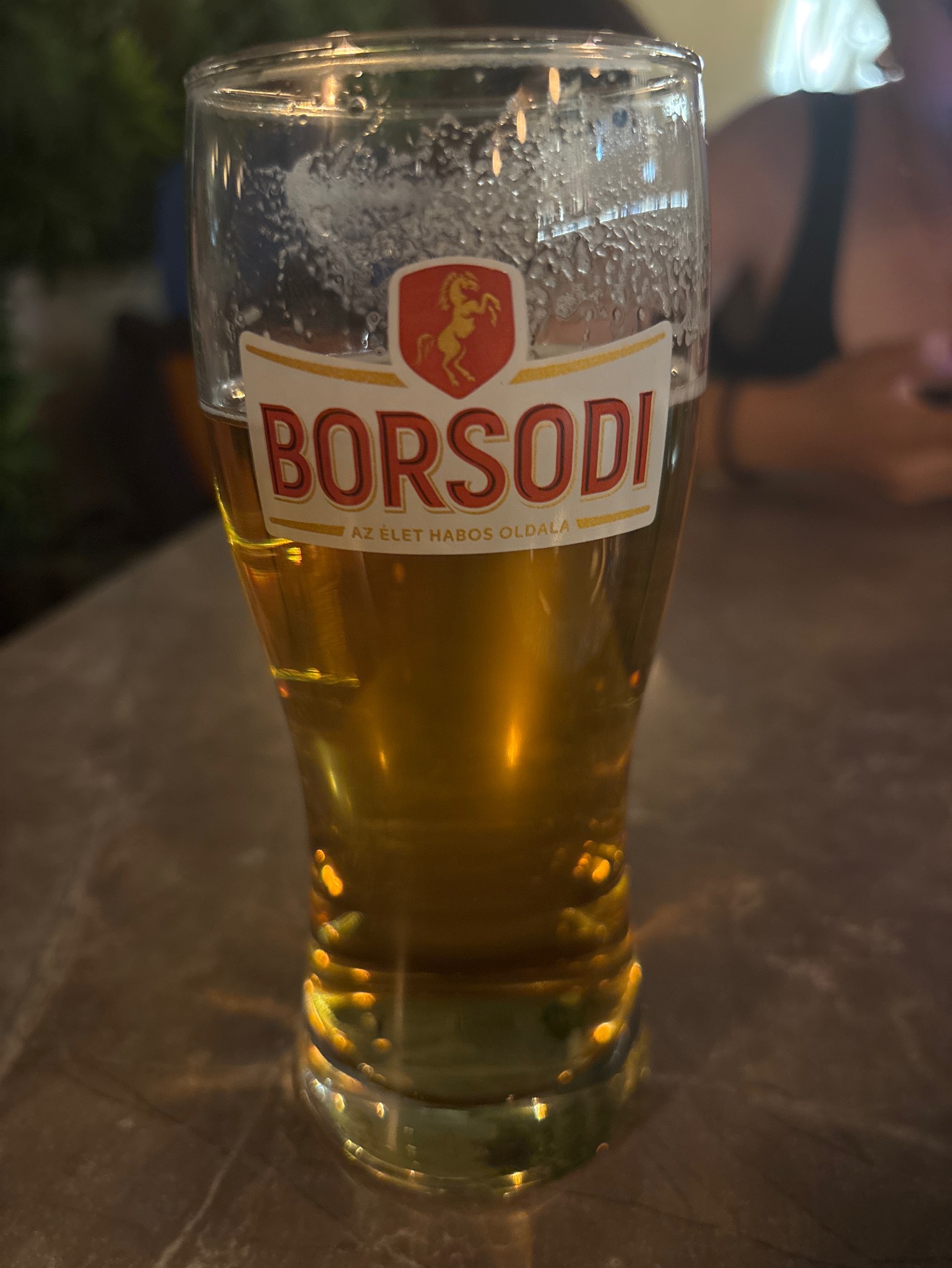 Borsodi, Borsodi Sörgyár Kft