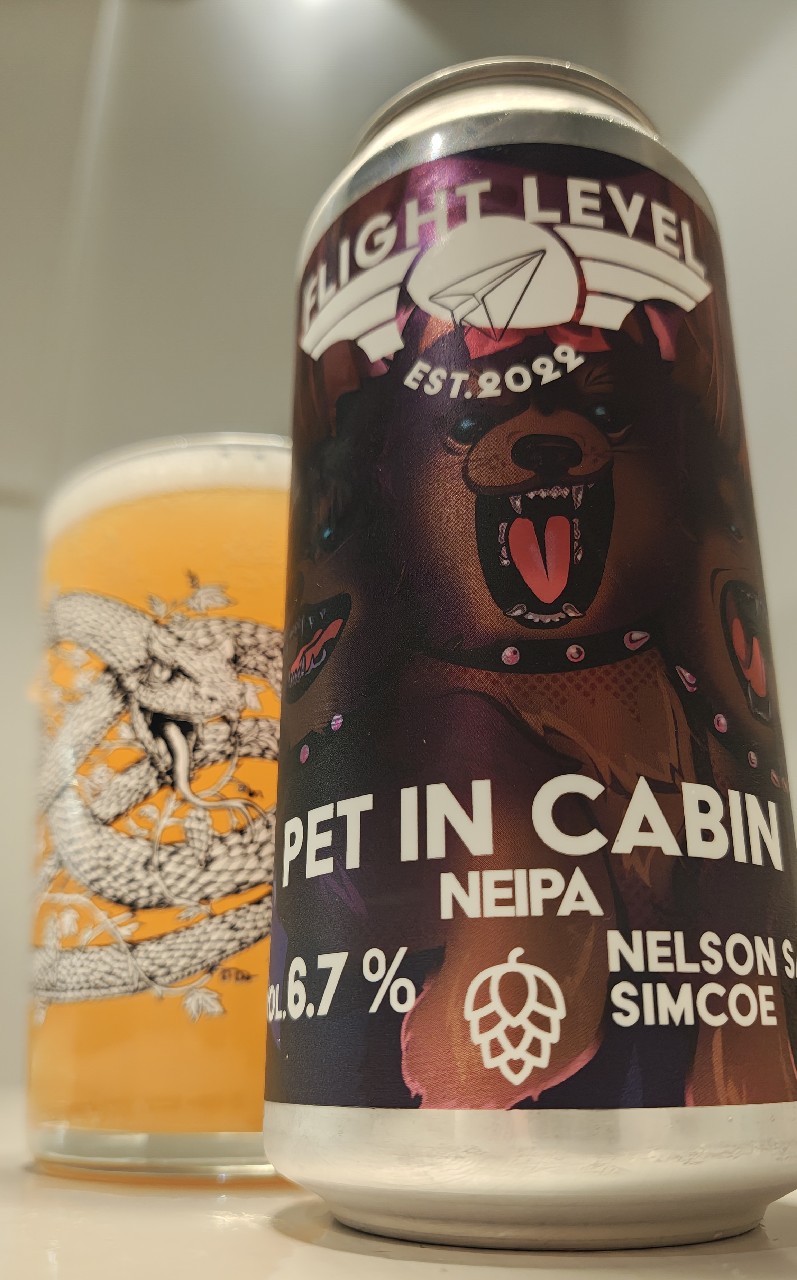 Pet in Cabin, Finland