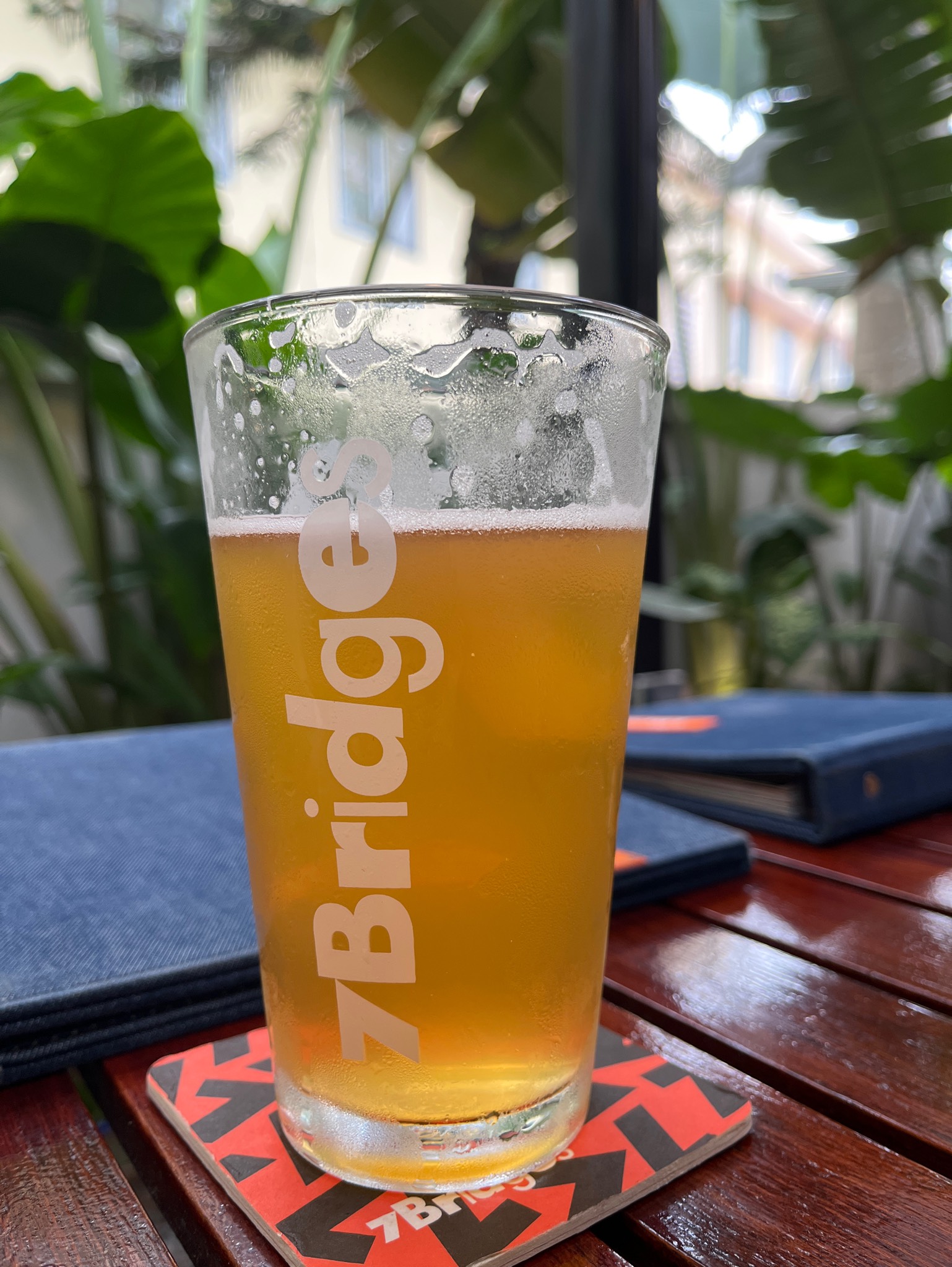 Yuzu Wheat, 7 Bridges Brewing Co