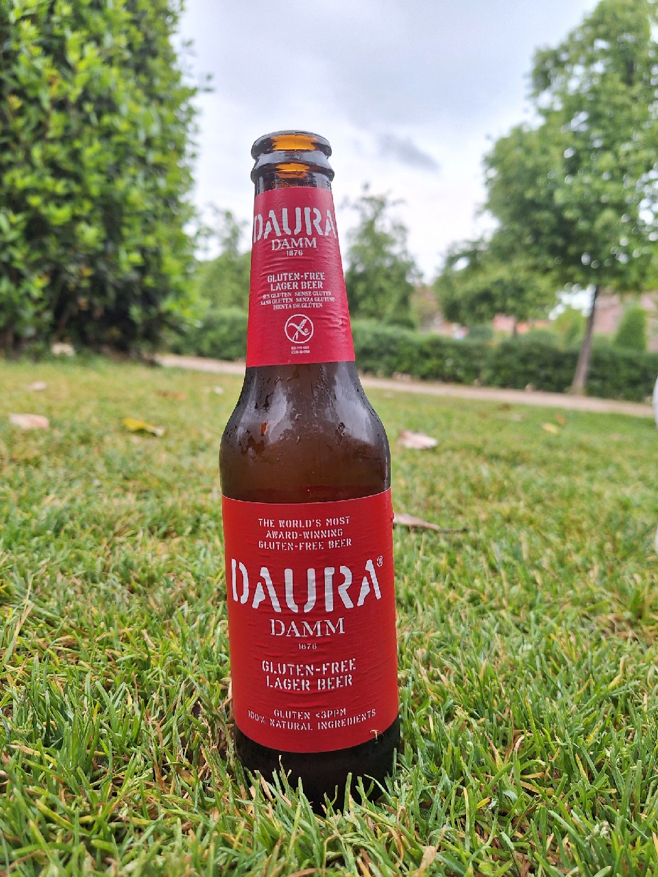 Daura, Spain