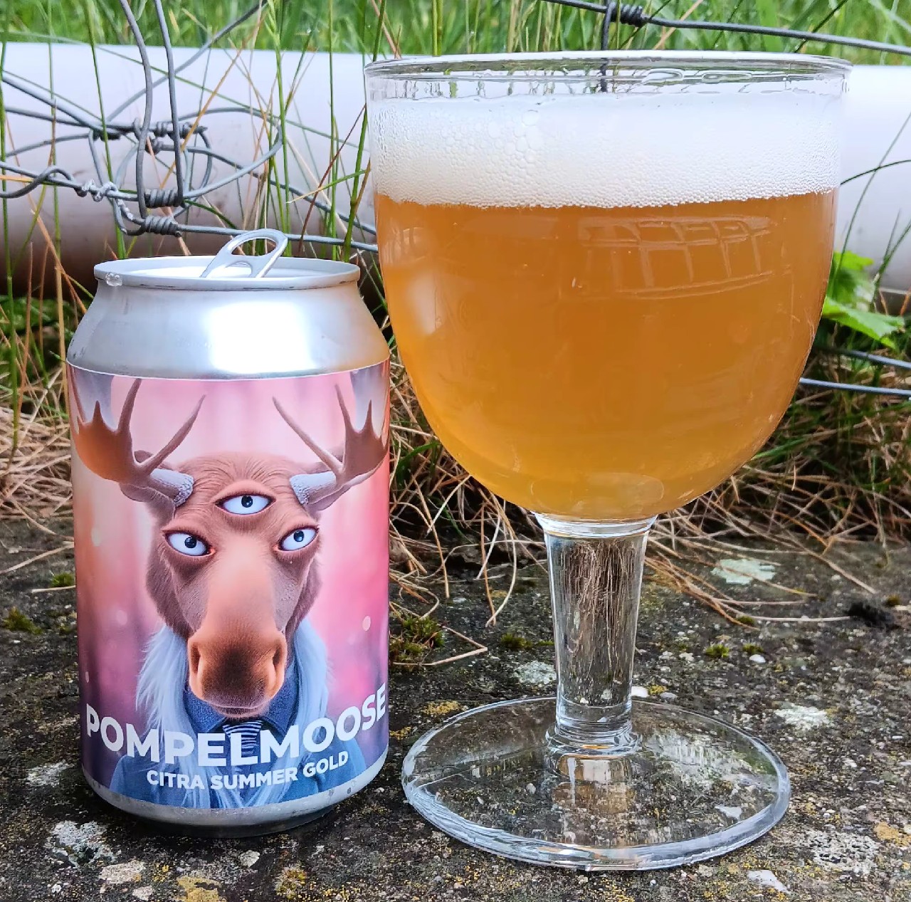 pompelmoose, De mortselarij
