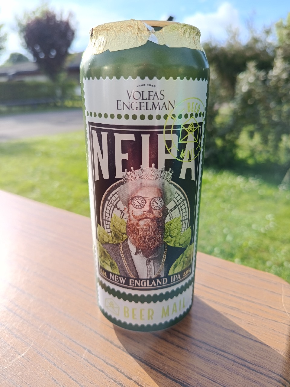 Volfas Engelman NEIPA, Lithuania