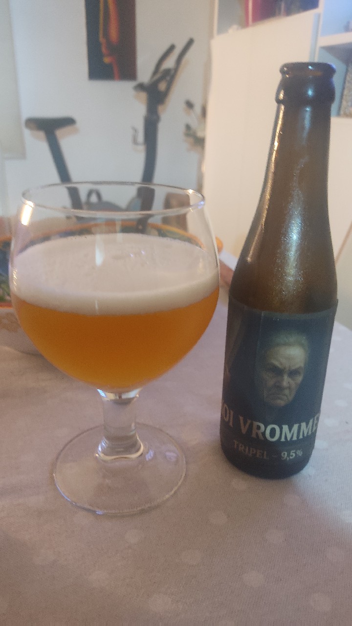 koi vrommes, Brewery De Meester
