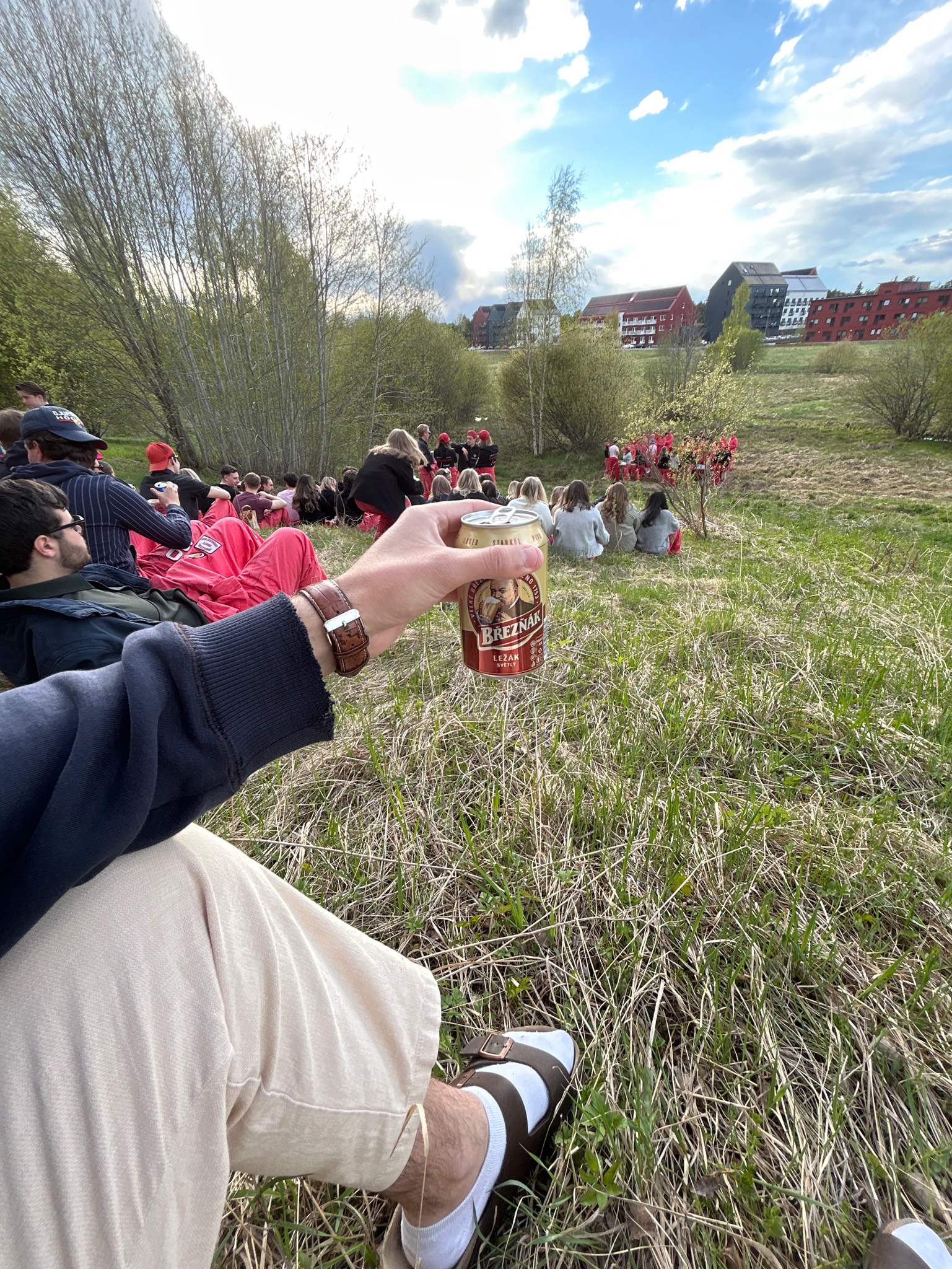 Březňák Světlý Ležák / Original Böhmisch Pils, Pivovar Velké Březno - Březňák (Heineken)