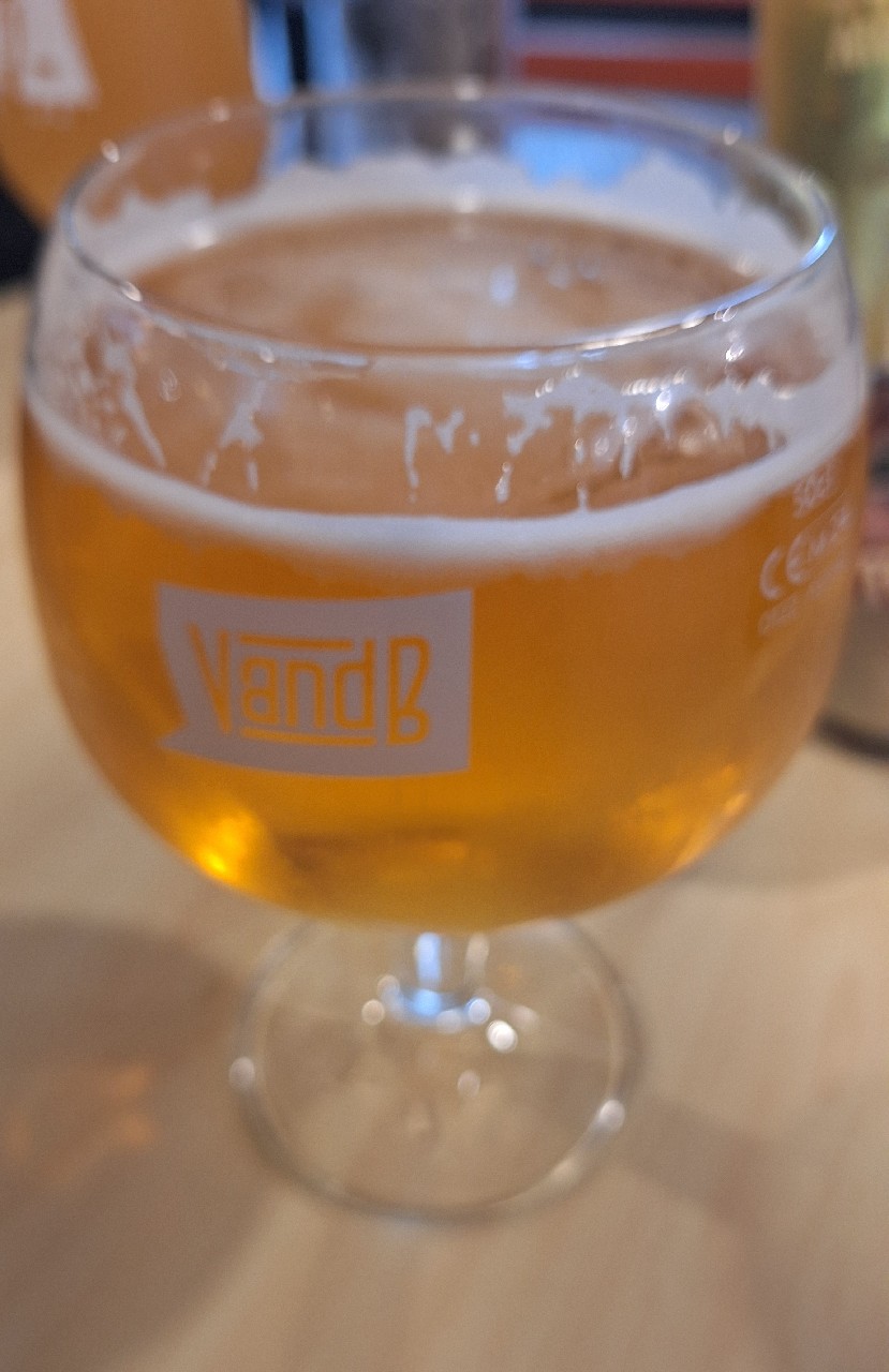 Kapittel watou blond, Belgium