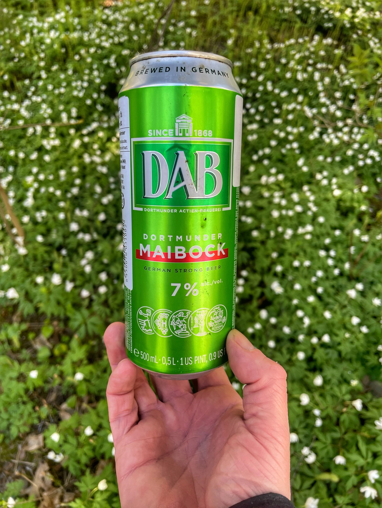 DAB Dortmunder Maibock, Dortmunder Actien-Brauerei (Oetker Group) | DAB