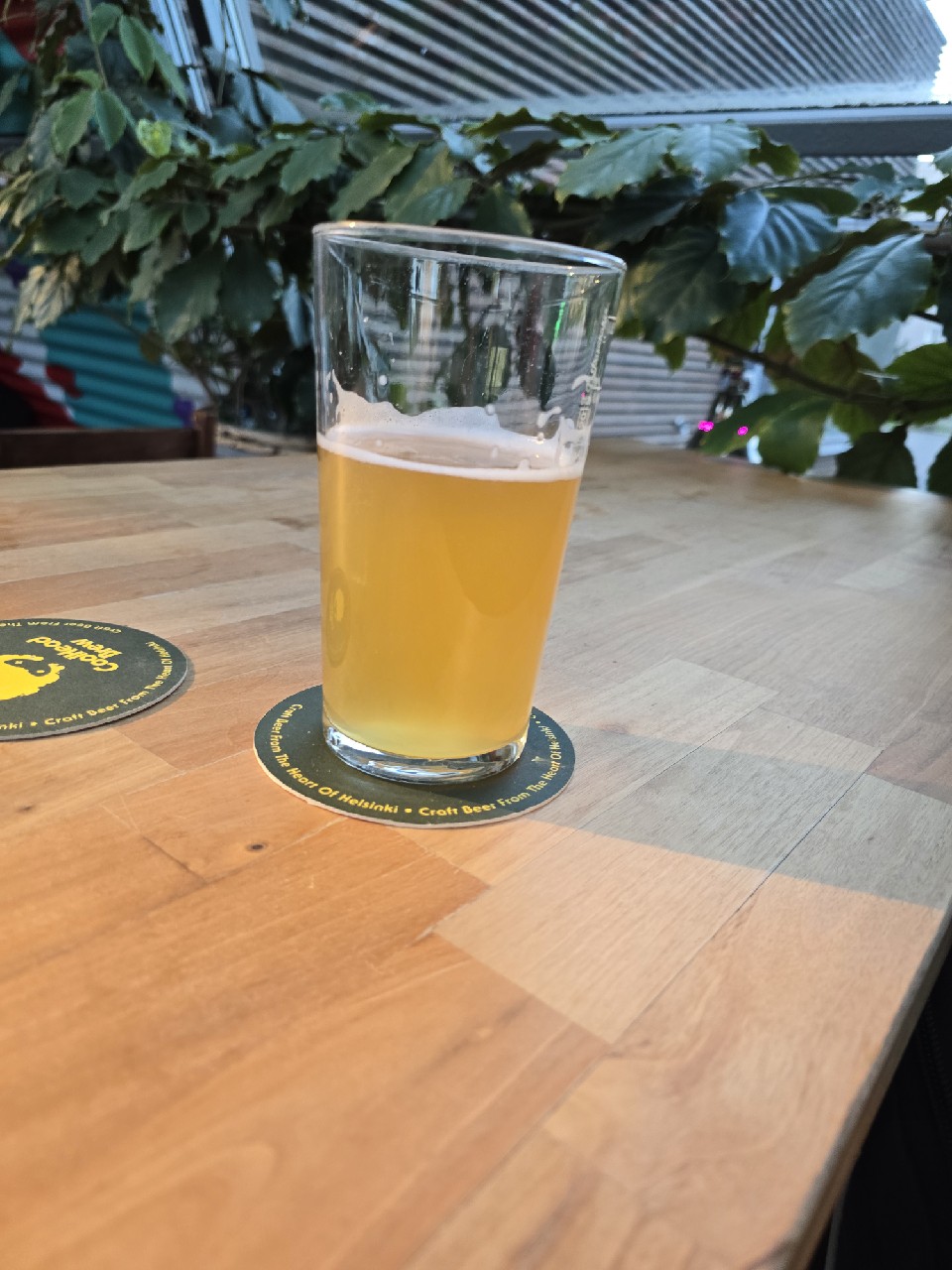 hefeweizen, Finland