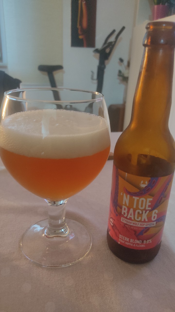 n toeback 6, Belgium