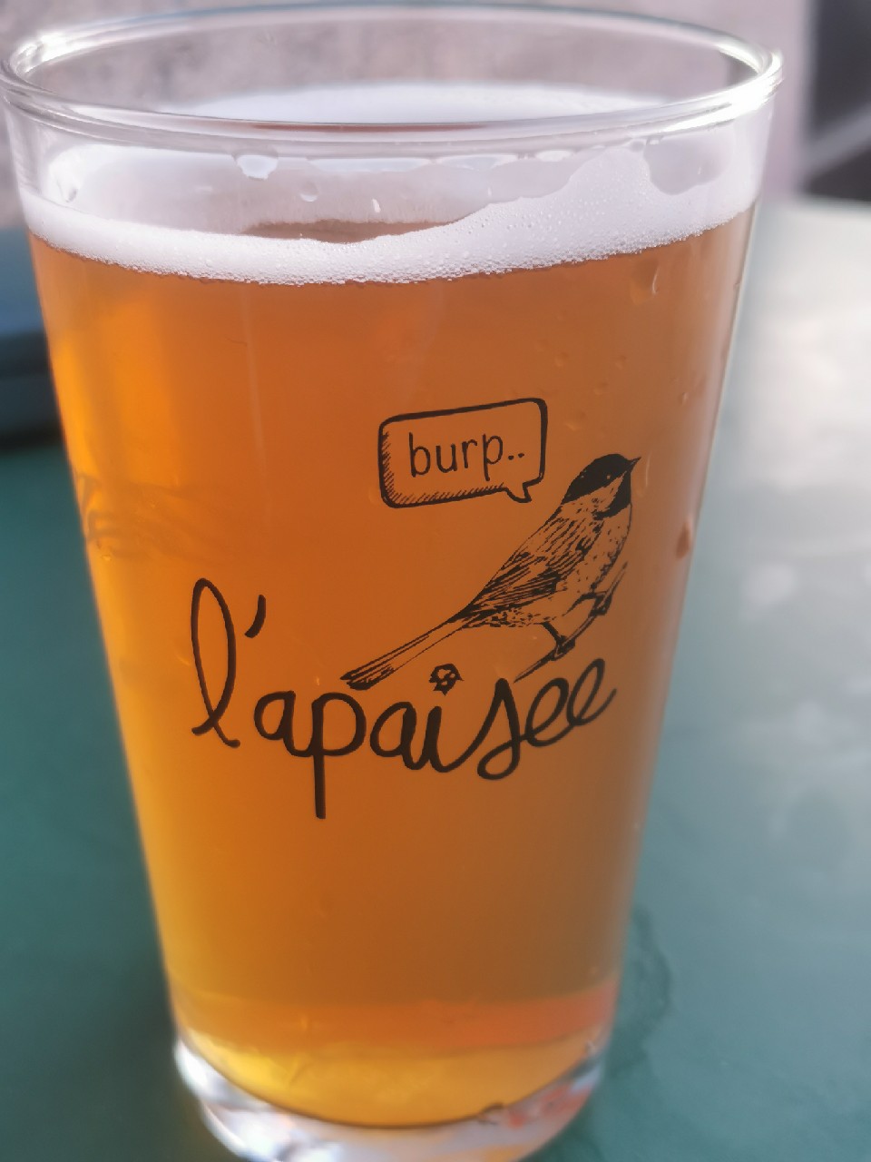 Gose Barrel Aged, Brasserie L'Apaisée