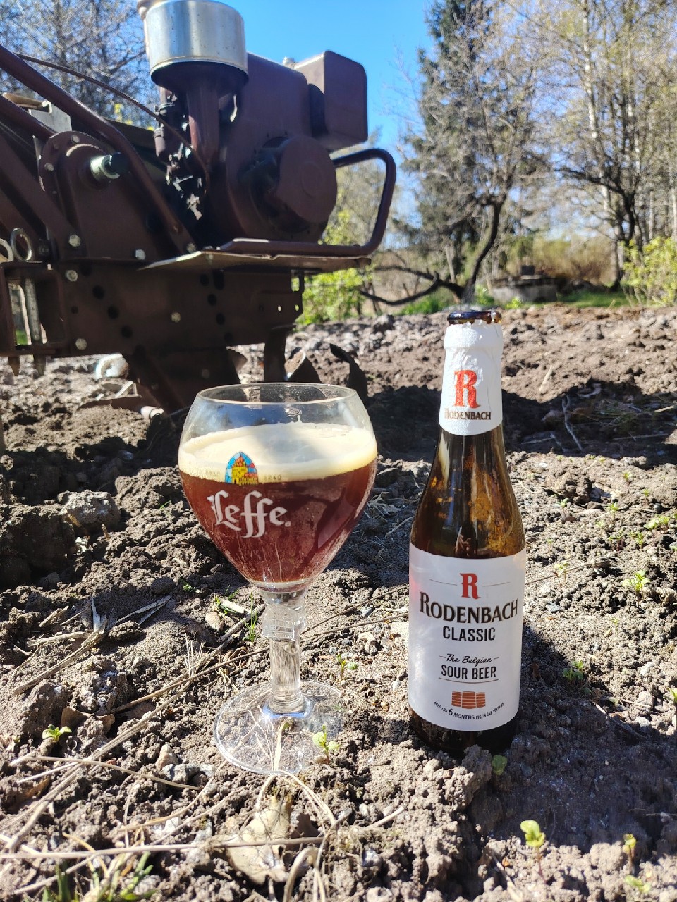 Rodenbach Classic, Belgium