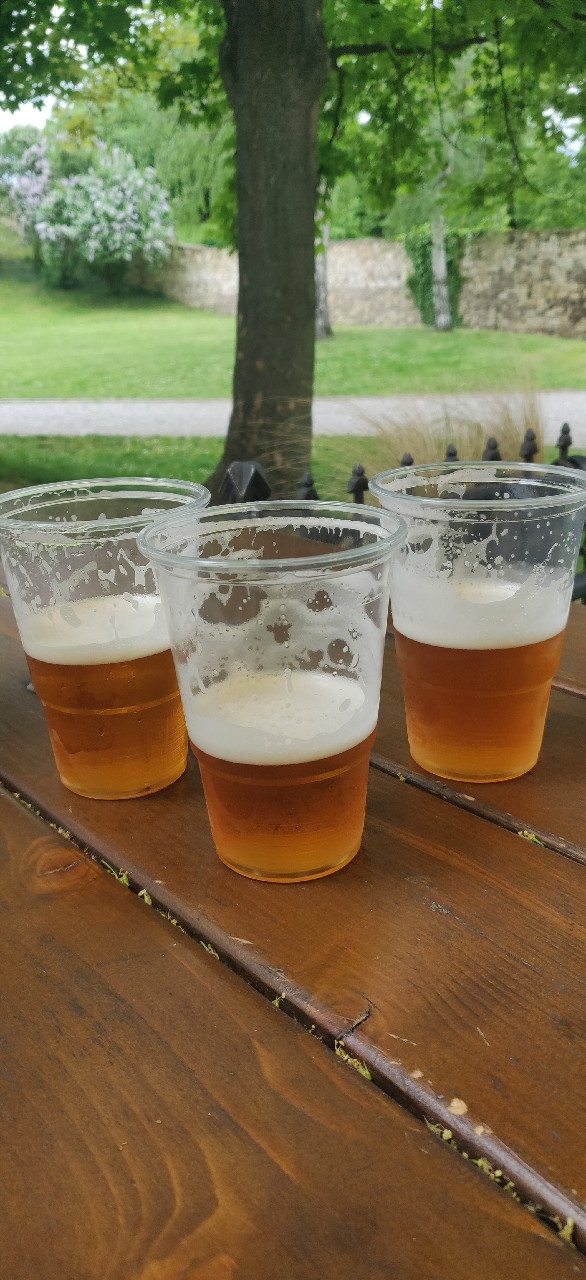 mustang 12, Ostravar (Molson Coors)