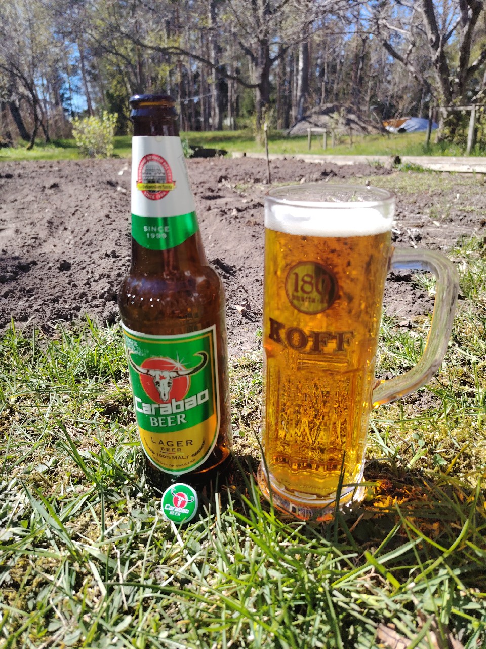 Carabao Lager Beer, Thailand