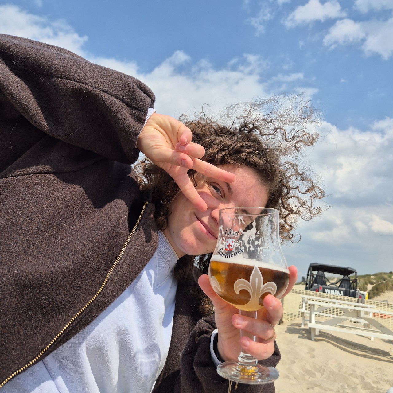 Tripel Karmeliet Sans Alcool / Alcoholvrij, Belgium