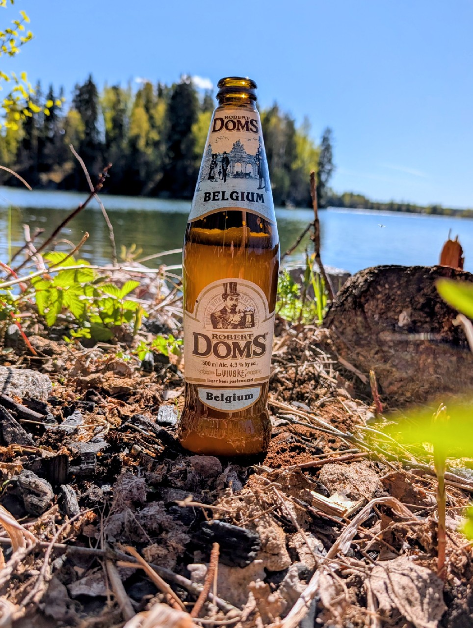 Robert Doms Belgiiskiy / Бельгійський, Ukraine