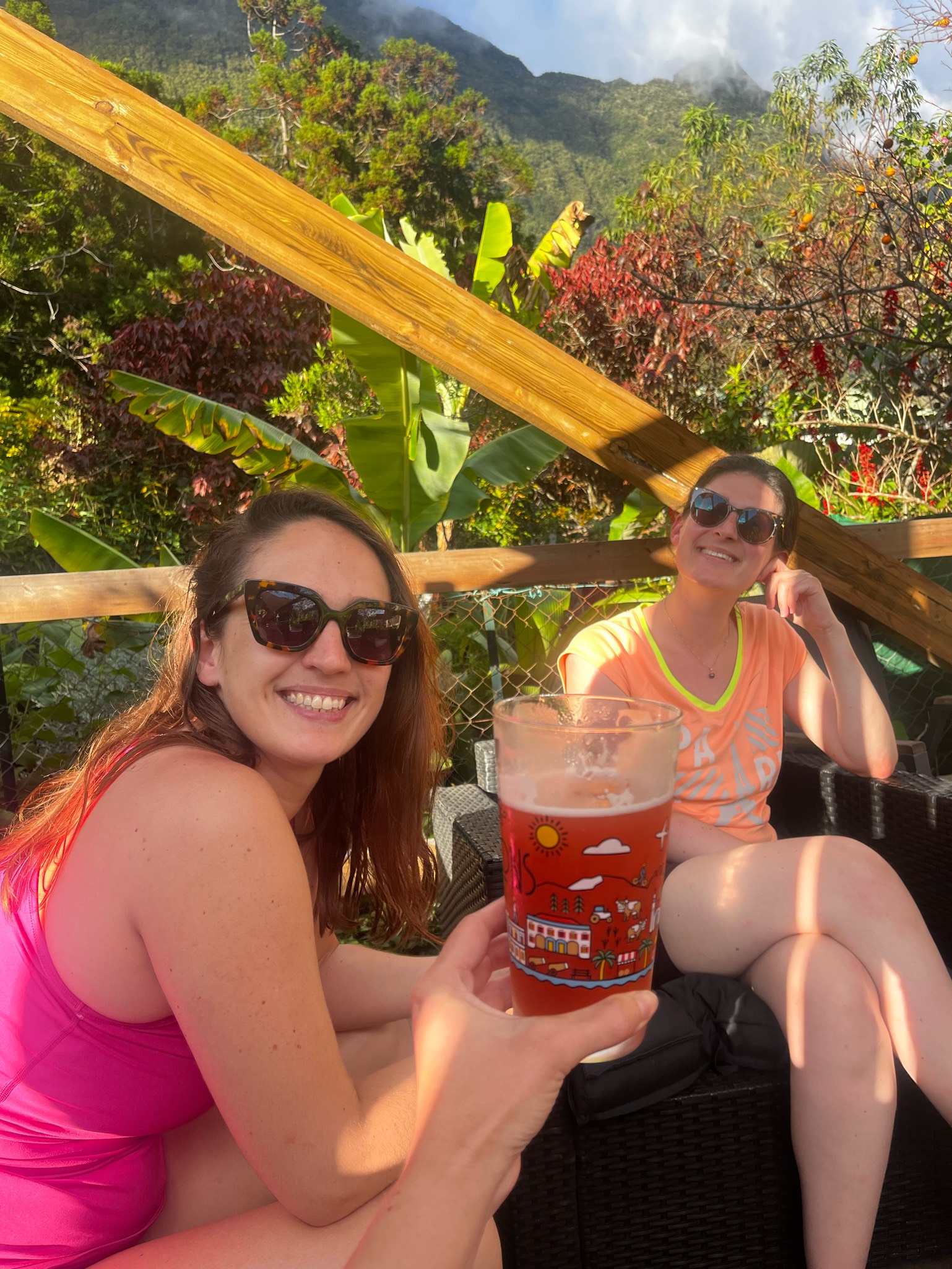 Dalons Strong IPA, Brasserie Dalons