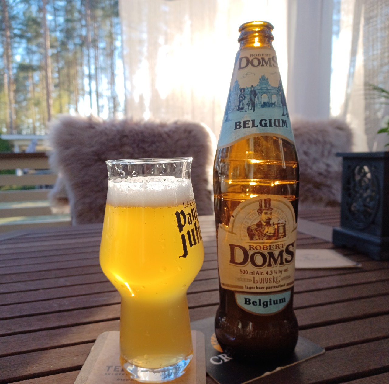 Robert Doms Belgiiskiy / Бельгійський, Ukraine