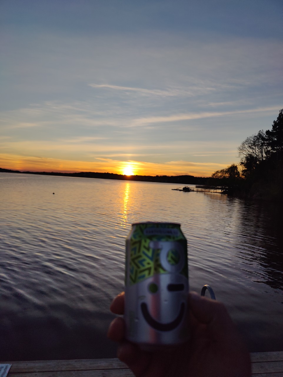 Cid 'SMILE' Kaktus / Lime, Krönleins Bryggeri