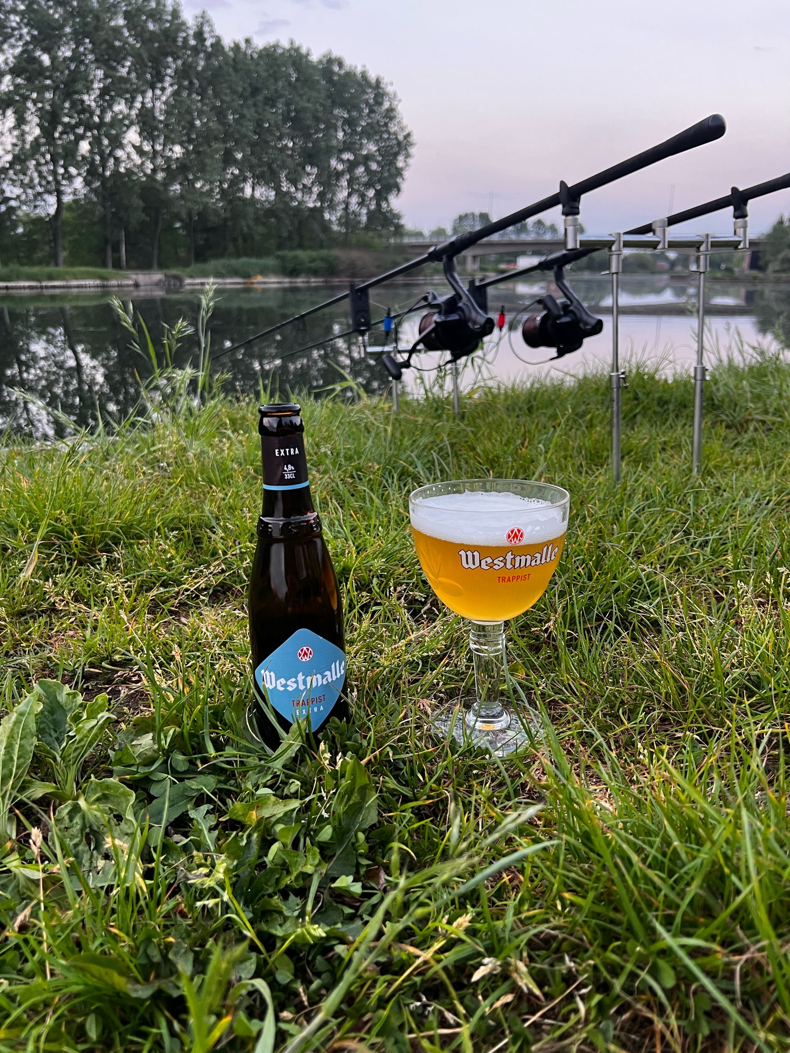 Westmalle Trappist Extra, Belgium