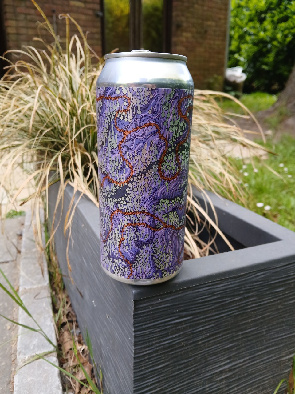 DDH Punge, Tired Hands Brewing Company