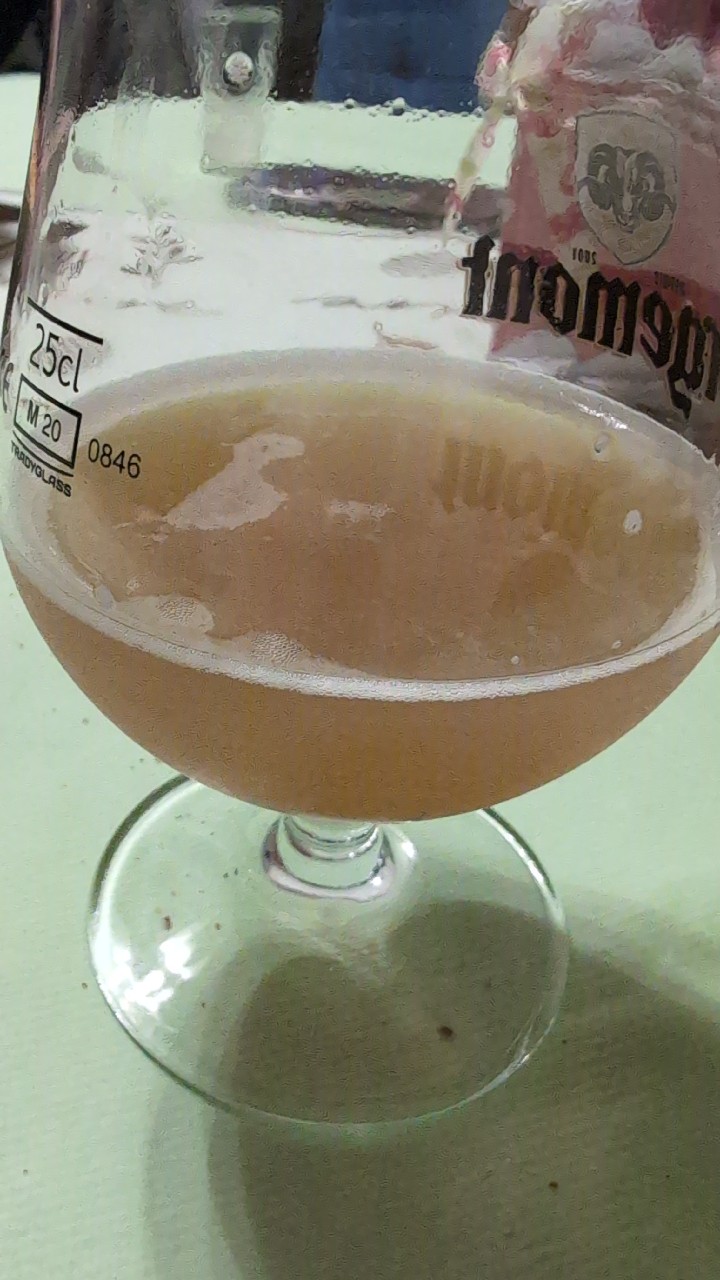 Brasserie de plein air blonde, Brasserie de plein air