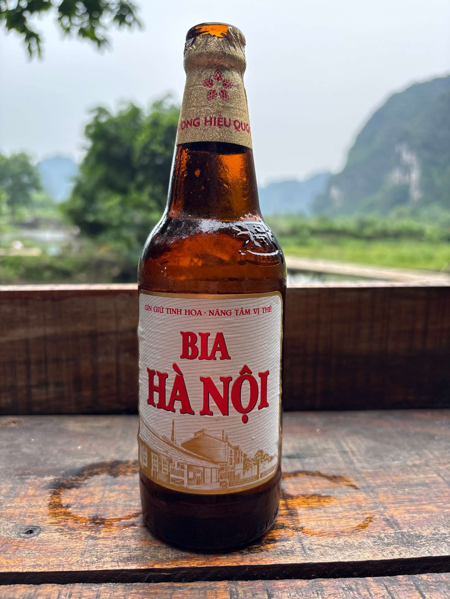Bia Hà Nội, Habeco (Hanoi Alcohol Beer and Beverage Company)