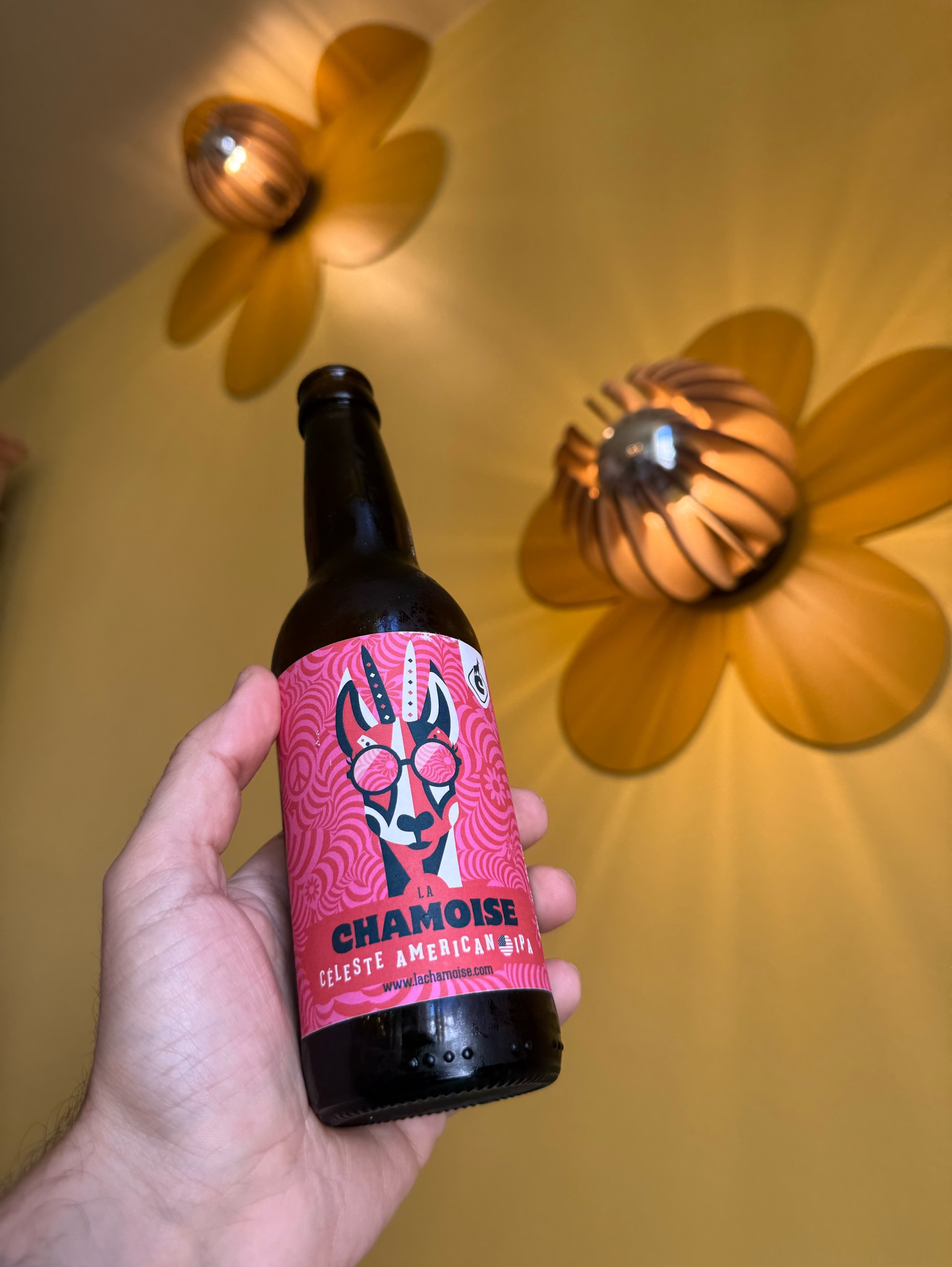 Céleste American IPA, France