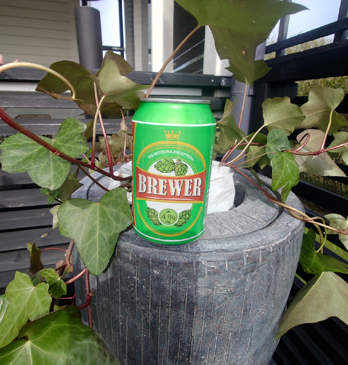 Brewer, Poland