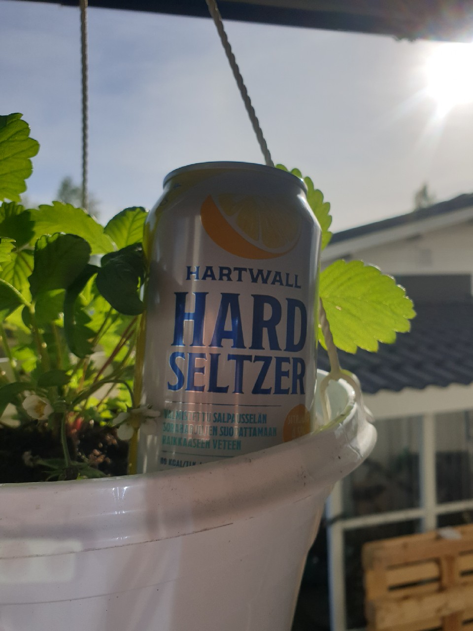 Hard Seltzer Sitruuna, Hartwall (Royal Unibrew)