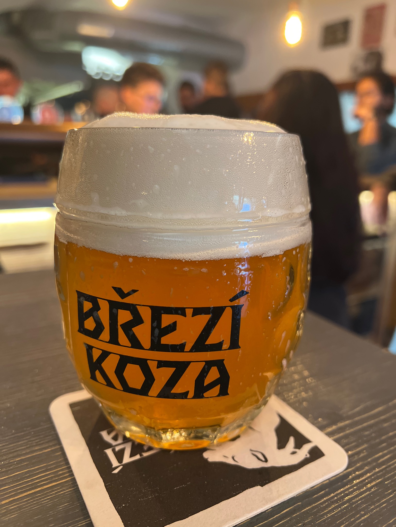 Brezi Koza, Brezi Koza