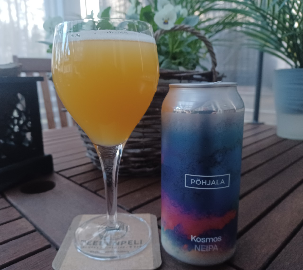 Kosmos, Estonia