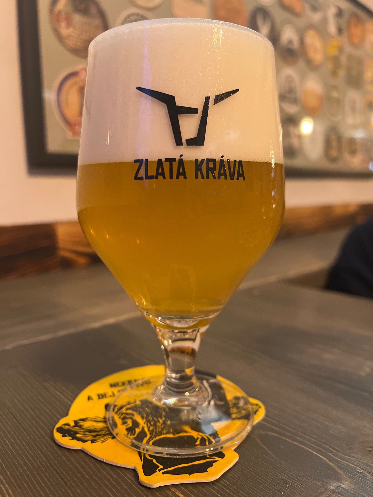 12 yellow cow, Zlatá Kráva