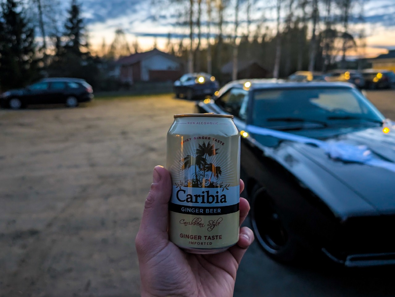 Caribia Ginger Beer, Harboe's Brewery A / S