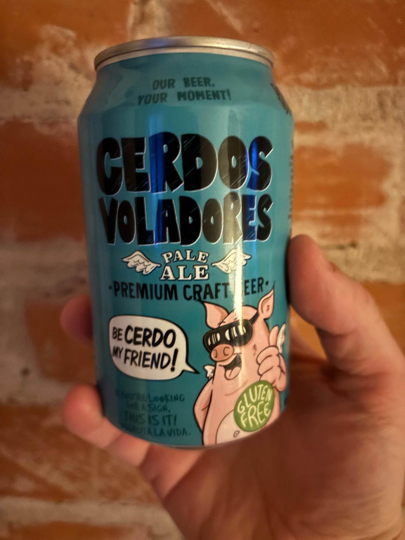 Cerdos Voladores Pale Ale, Barcelona Beer Company