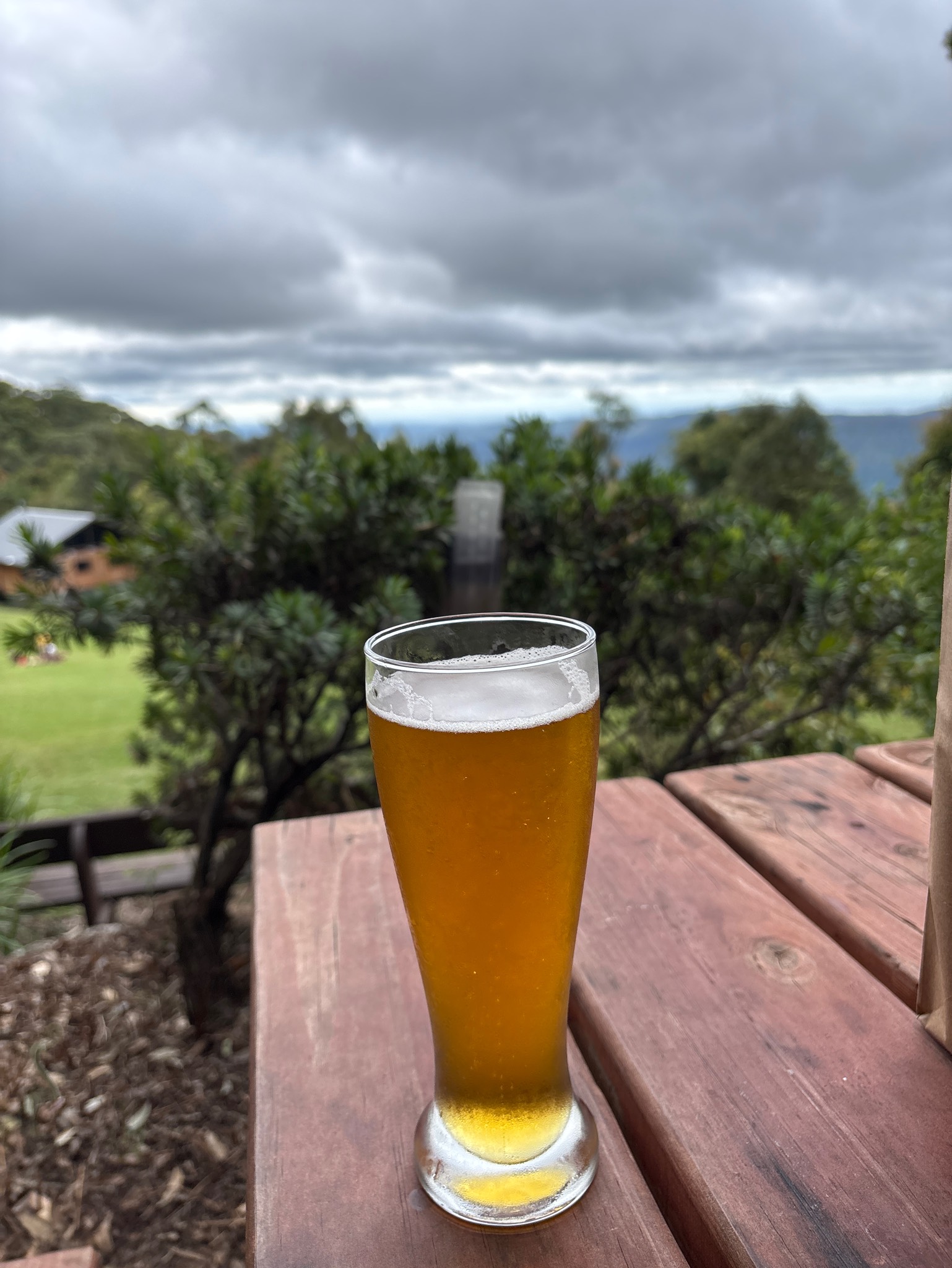 Twisted Palm Tropical Pale Ale, Burleigh Brewing Company