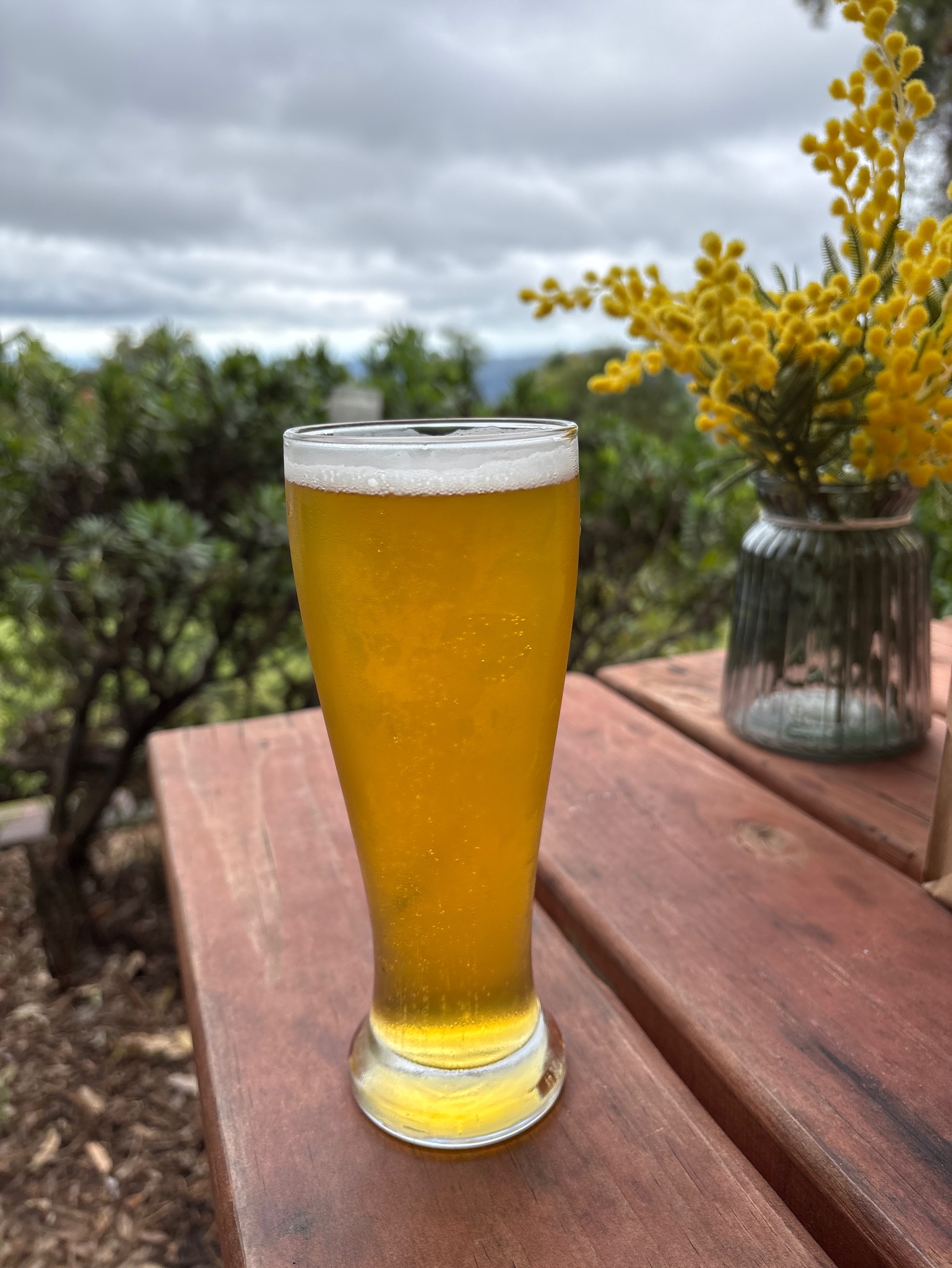 Czech Mates, Burleigh Brewing Company